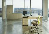 Kancel&aacute;�sk&eacute; n&aacute;bytkov&eacute;, p�&iacute;�kov&eacute; a reg&aacute;lov&eacute; syst&eacute;my